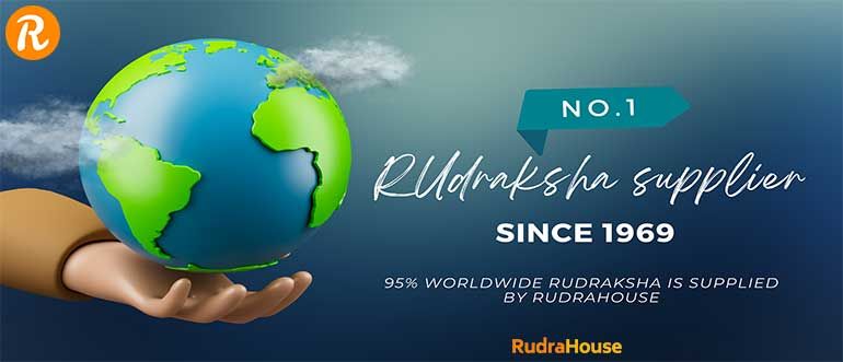 Rudraksha supplier worldwide