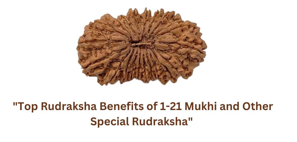 "Top Rudraksha Benefits of 1-21 Mukhi and Other Special Rudraksha"