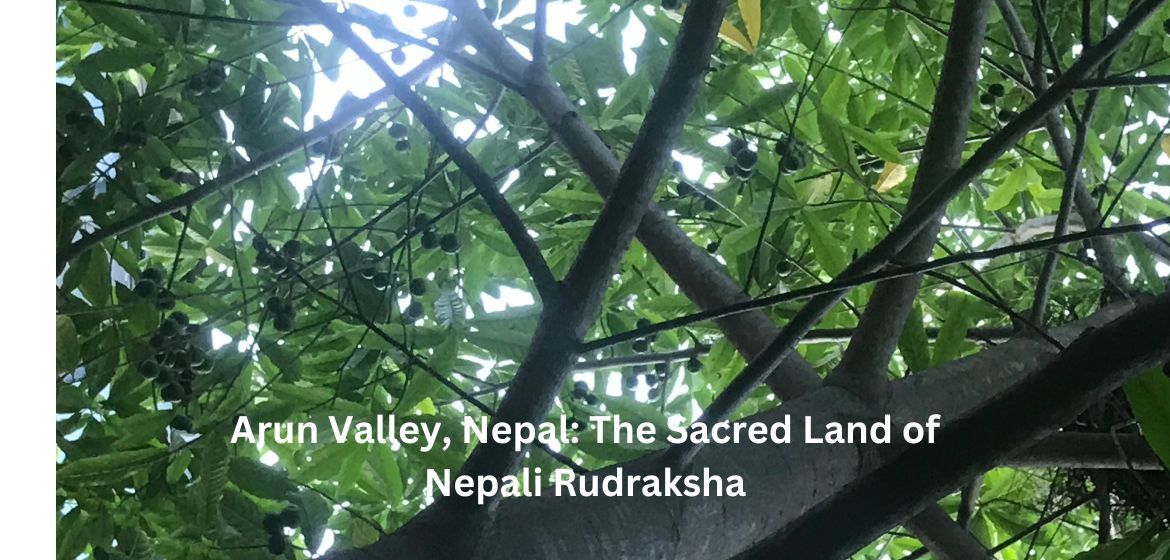 Arun Valley, Nepal: The Sacred Land of Nepali Rudraksha