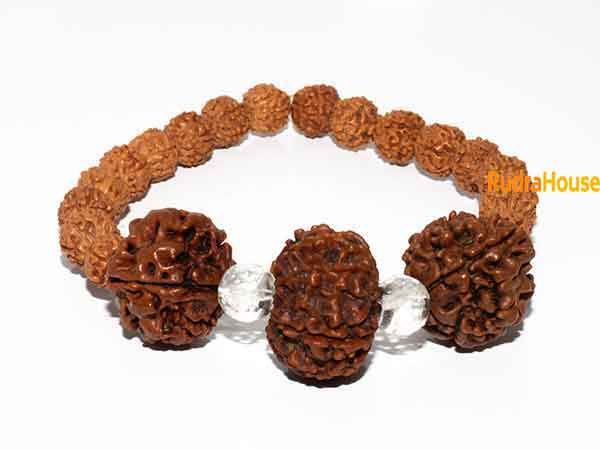 5 Mukhi Rudraksha with 7 Chakra Beads Bracelet | Rudraksha Mart
