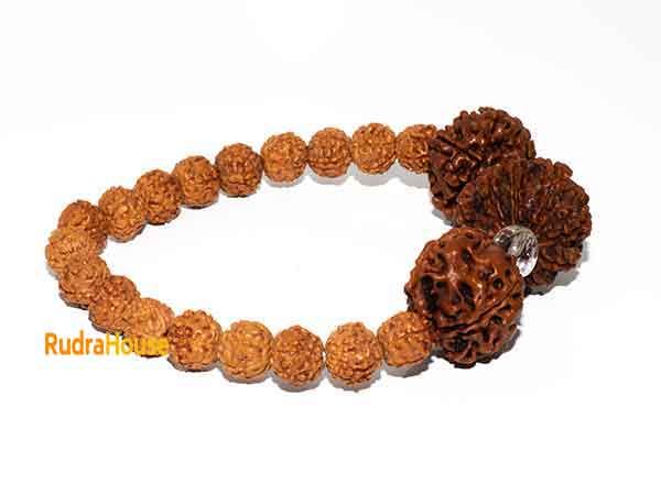 Buy Original 5 Mukhi Rudraksha Beads Bracelet - Daily Wear Party Wear Gift