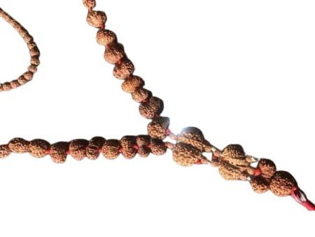 Indra Mala Java Rudraksha Beads
