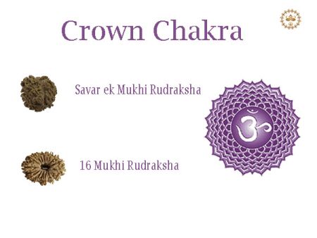 Rudraksha For Crown Chakra