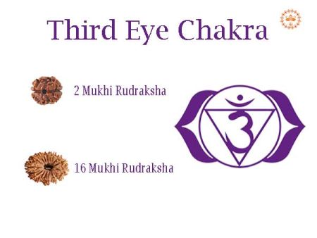 Rudraksha For Third Eye Chakra