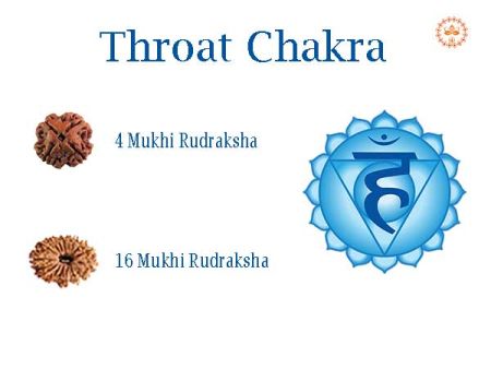 Rudraksha For Throat Chakra