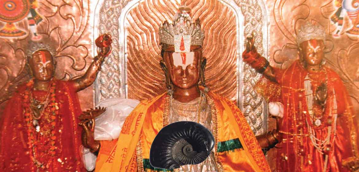 Shaligram Stone: All You Need To Know about Shaligram!