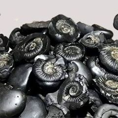 Shaligram