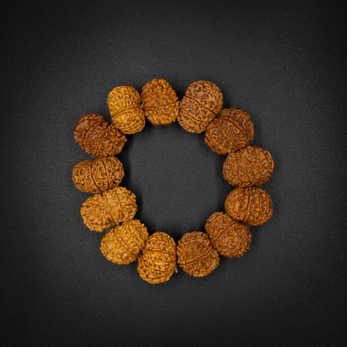 10 Mukhi Rudraksha Bracelet