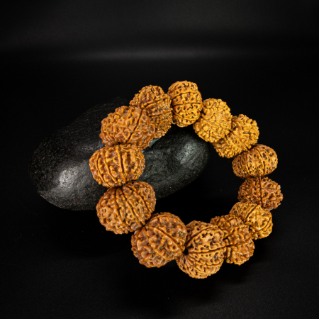 10 Mukhi Rudraksha Bracelet
