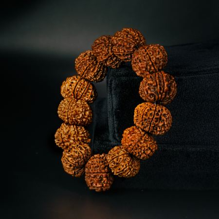 10 Mukhi Rudraksha Bracelet