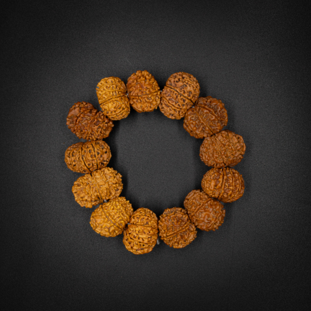 10 Mukhi Rudraksha Bracelet