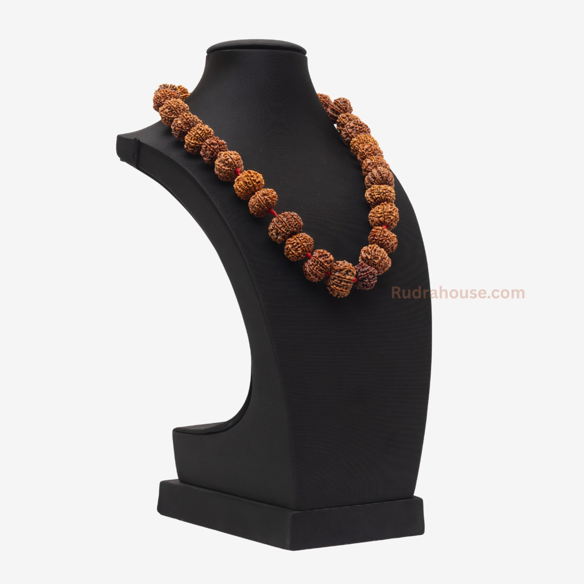 10 Mukhi Rudraksha Kantha