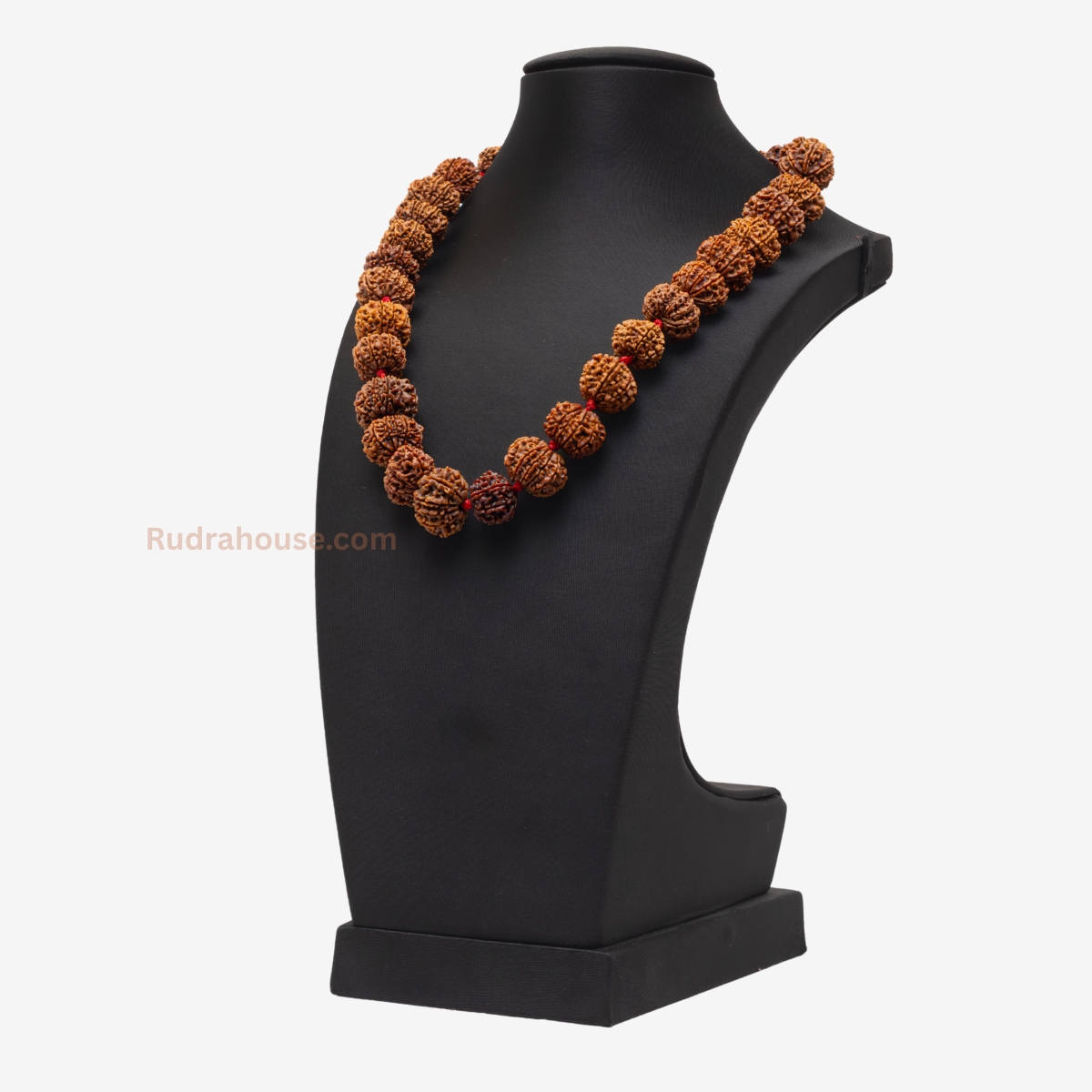 10 Mukhi Rudraksha Kantha