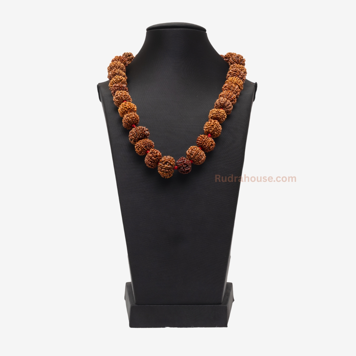 10 Mukhi Rudraksha Kantha