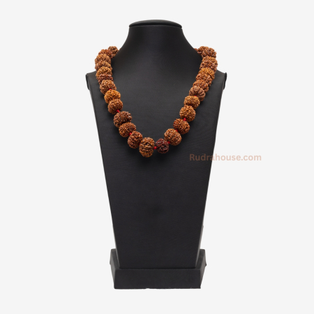 10 Mukhi Rudraksha Kantha