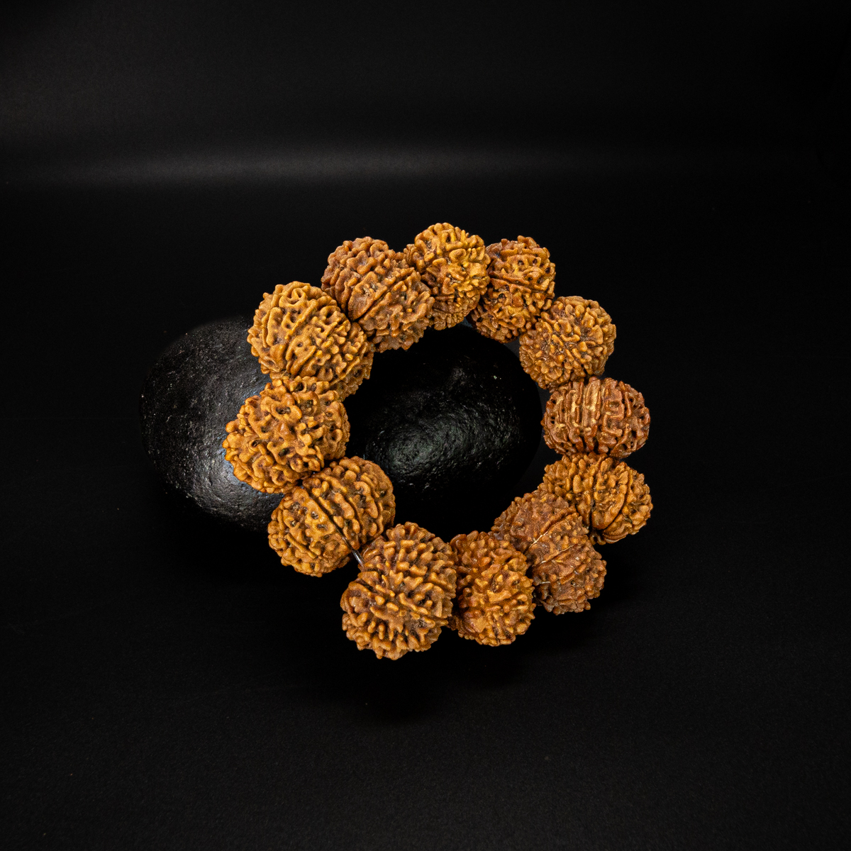 11 Mukhi Rudraksha Bracelet