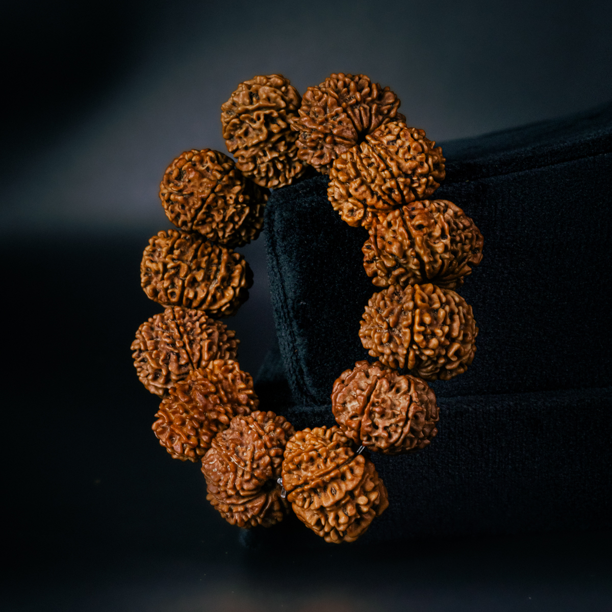 11 Mukhi Rudraksha Bracelet