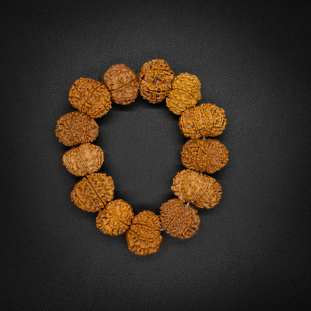 11 Mukhi Rudraksha Bracelet