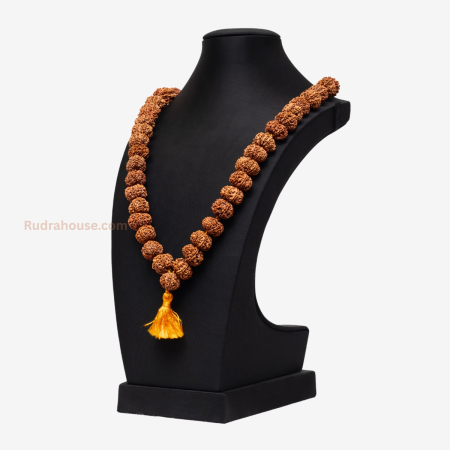 11 Mukhi Rudraksha Kantha