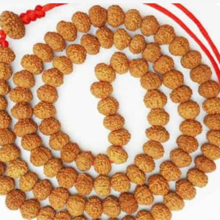 11 Mukhi Rudraksha Mala