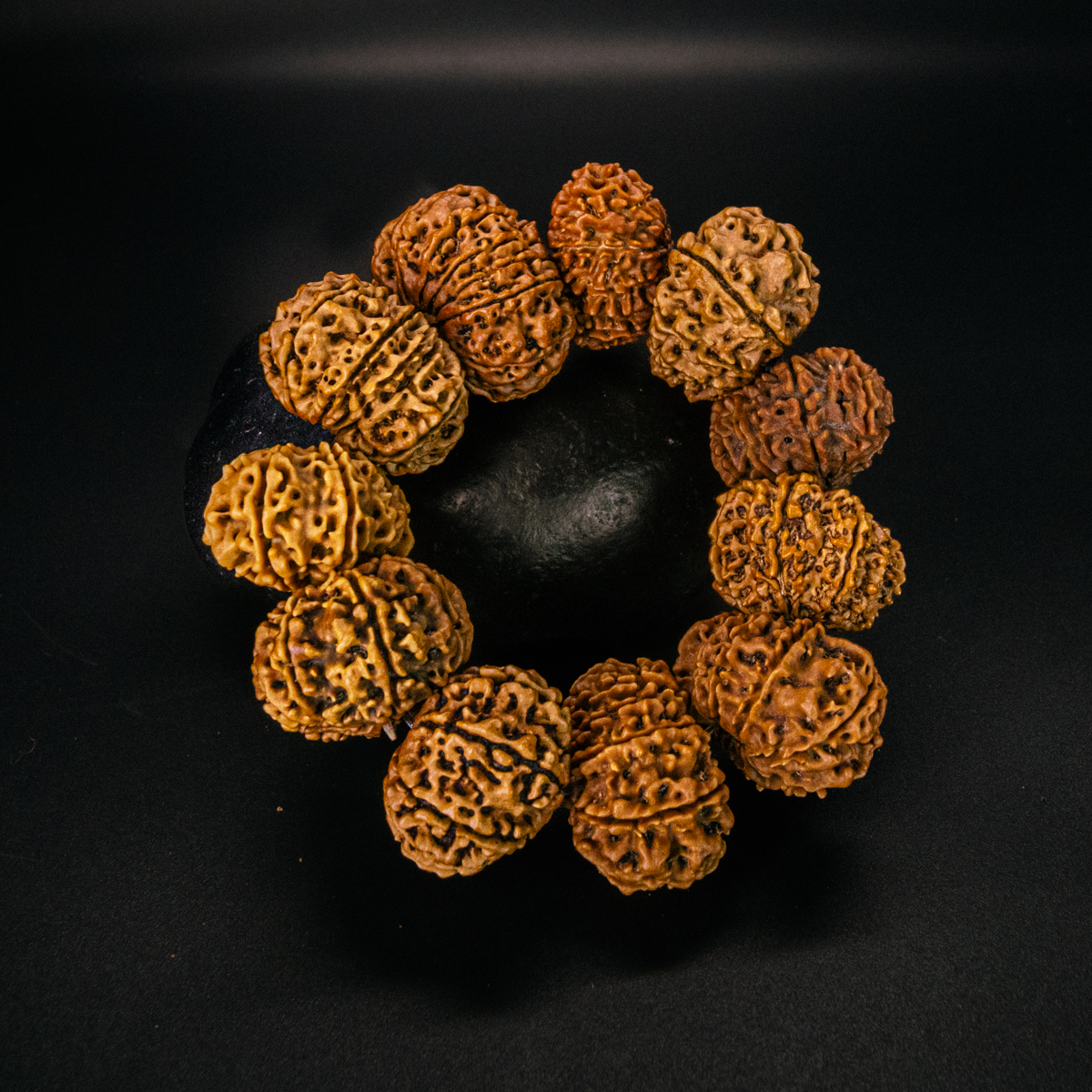 12 Mukhi Rudraksha Bracelet