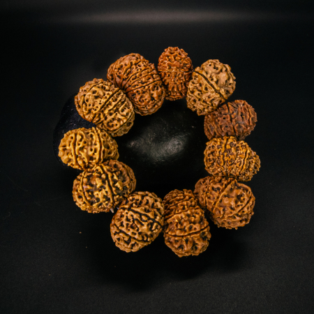 12 Mukhi Rudraksha Bracelet