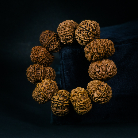 12 Mukhi Rudraksha Bracelet