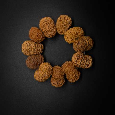 12 Mukhi Rudraksha Bracelet