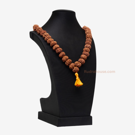12 Mukhi Rudraksha Kantha