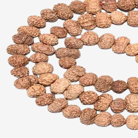 12 Mukhi Rudraksha Mala
