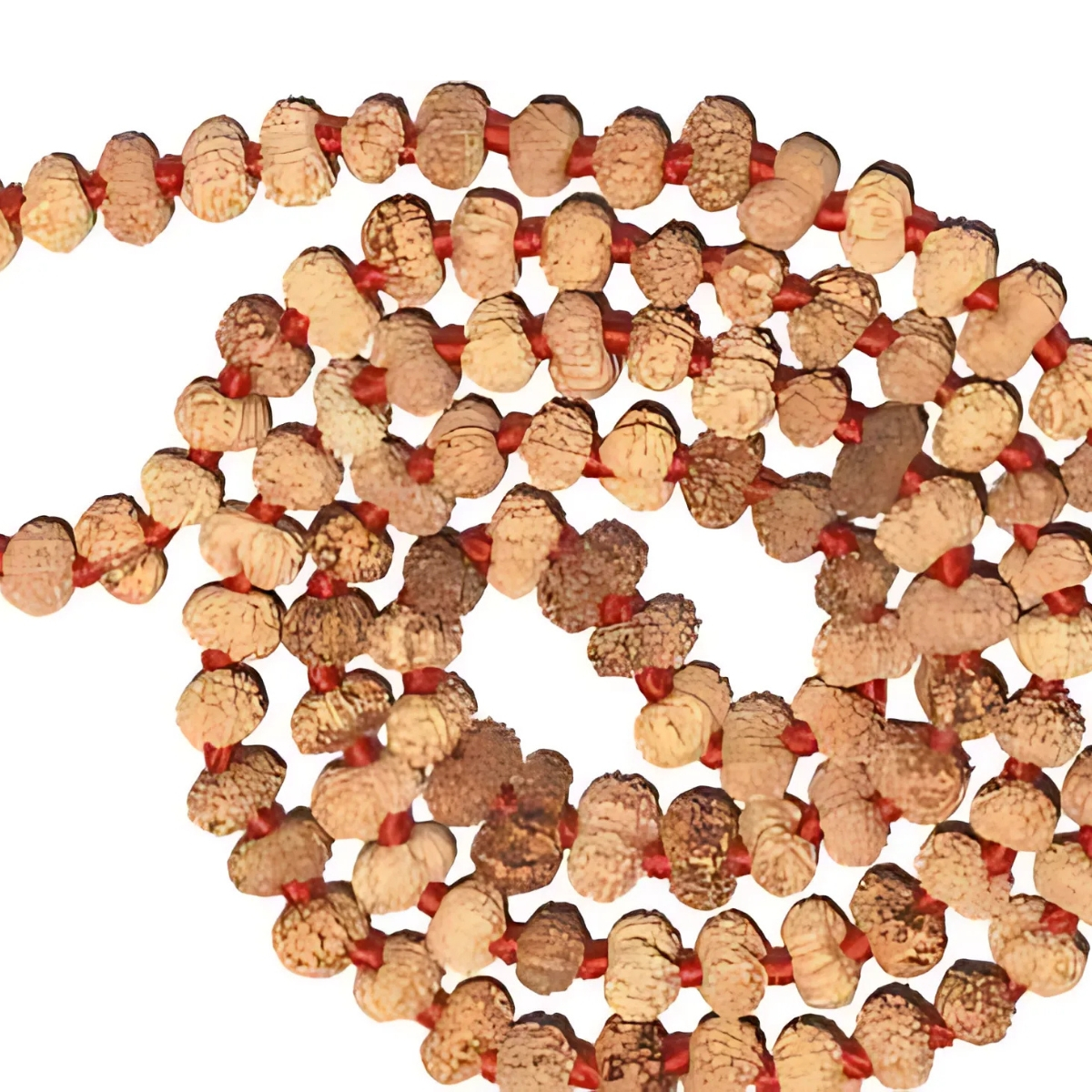 13 Mukhi Rudraksha Mala