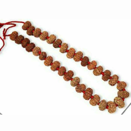 14 Mukhi Rudraksha Mala