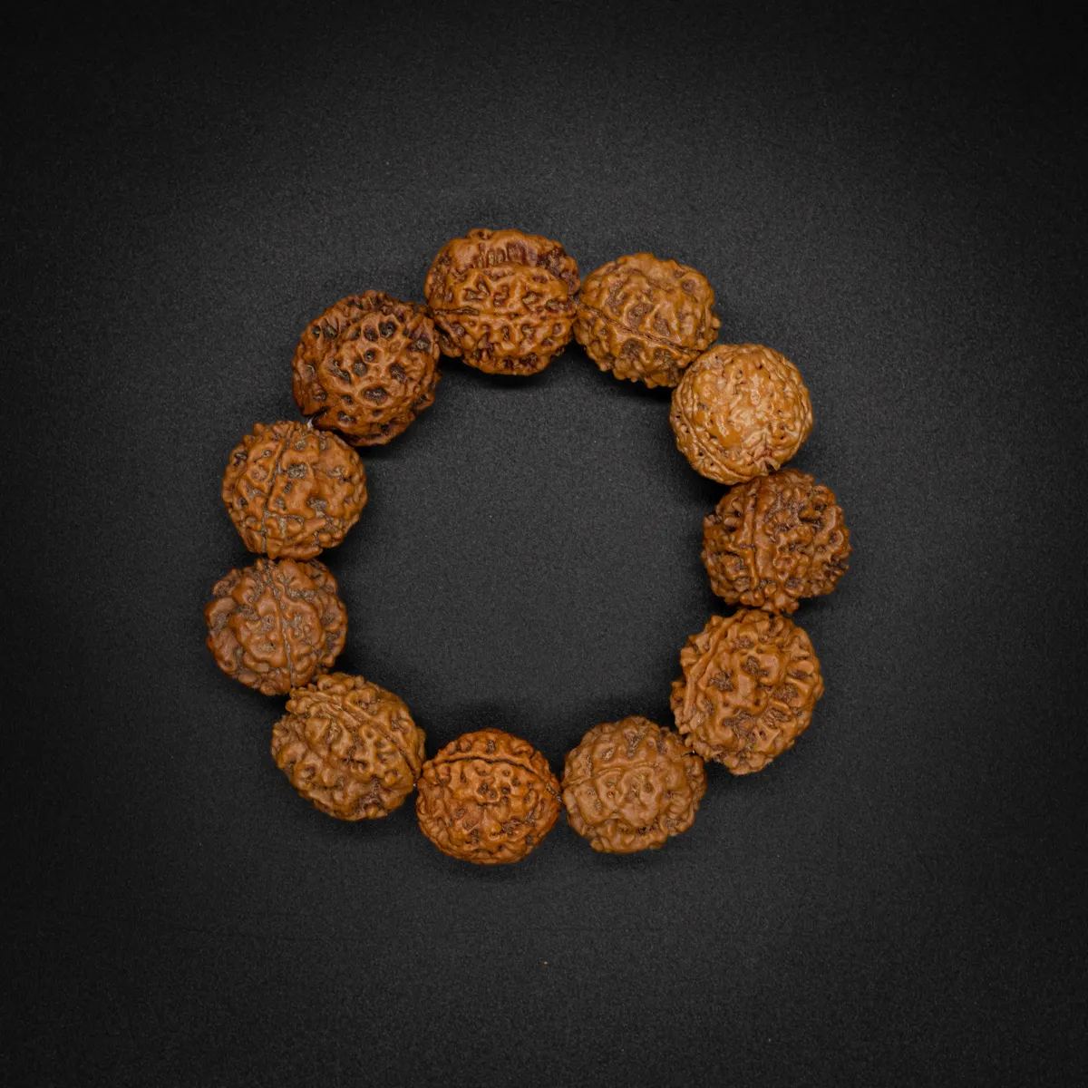 3 Mukhi Rudraksha Bracelet