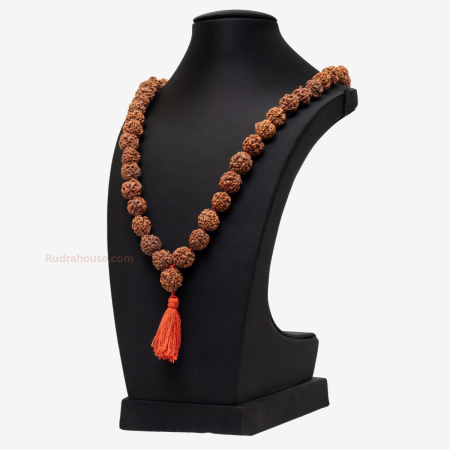3 Mukhi Rudraksha Kantha