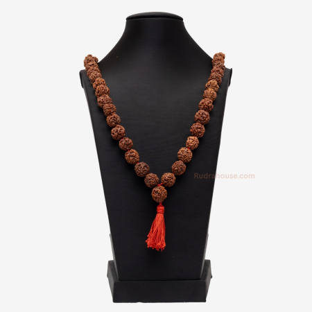 3 Mukhi Rudraksha Kantha