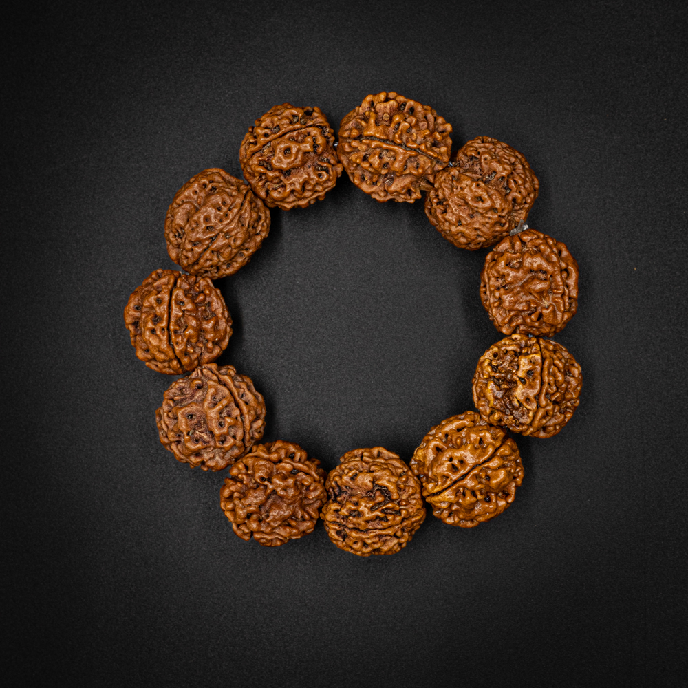 4 Mukhi Rudraksha Bracelet