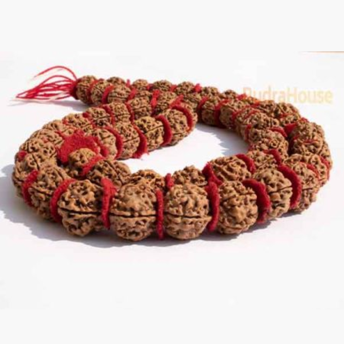 5 Mukhi Rudraksha Kantha Mala