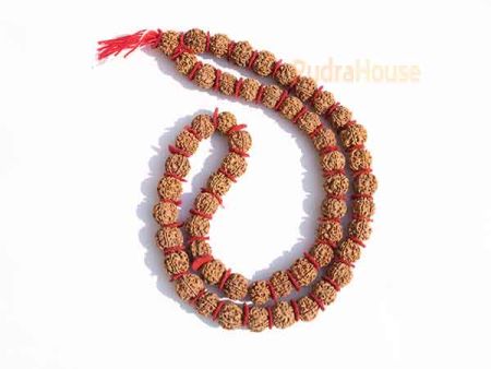5 Mukhi Rudraksha Kantha Mala