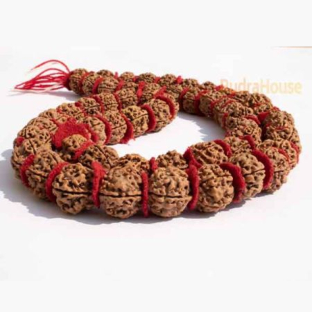 5 Mukhi Rudraksha Kantha Mala