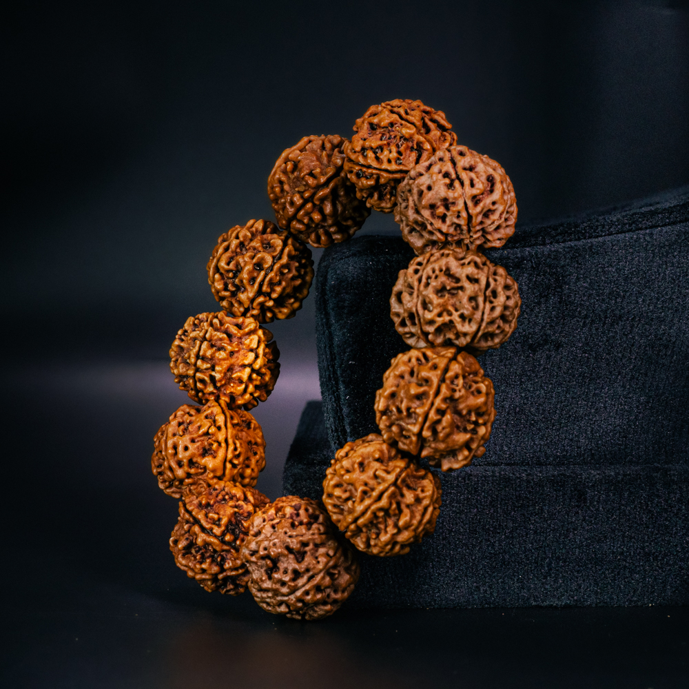 6 Mukhi Rudraksha Bracelet