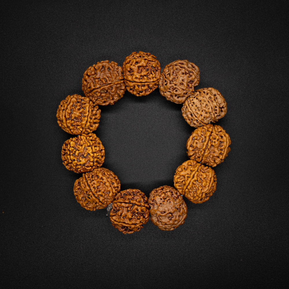 6 Mukhi Rudraksha Bracelet