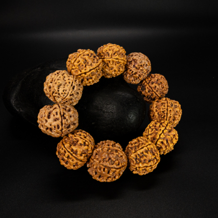6 Mukhi Rudraksha Bracelet