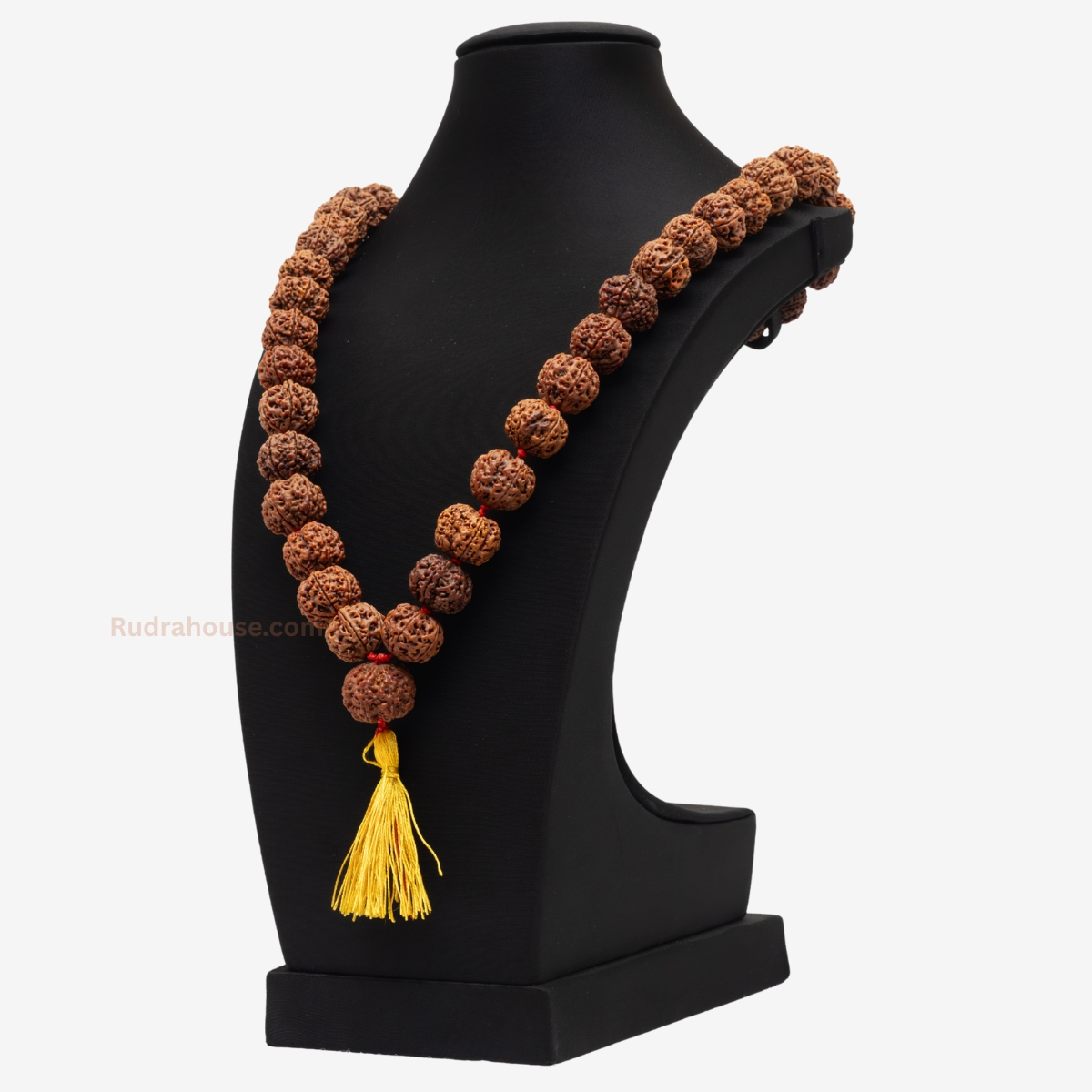 6 Mukhi Rudraksha Kantha