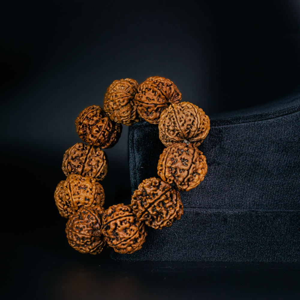 7 Mukhi Rudraksha Bracelet