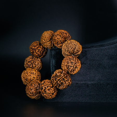7 Mukhi Rudraksha Bracelet