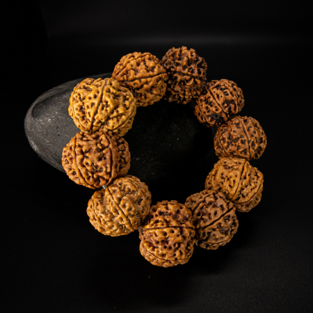 7 Mukhi Rudraksha Bracelet