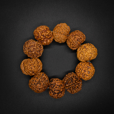 7 Mukhi Rudraksha Bracelet