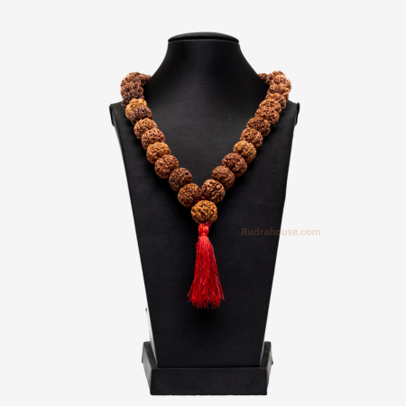 7 Mukhi Rudraksha Kantha