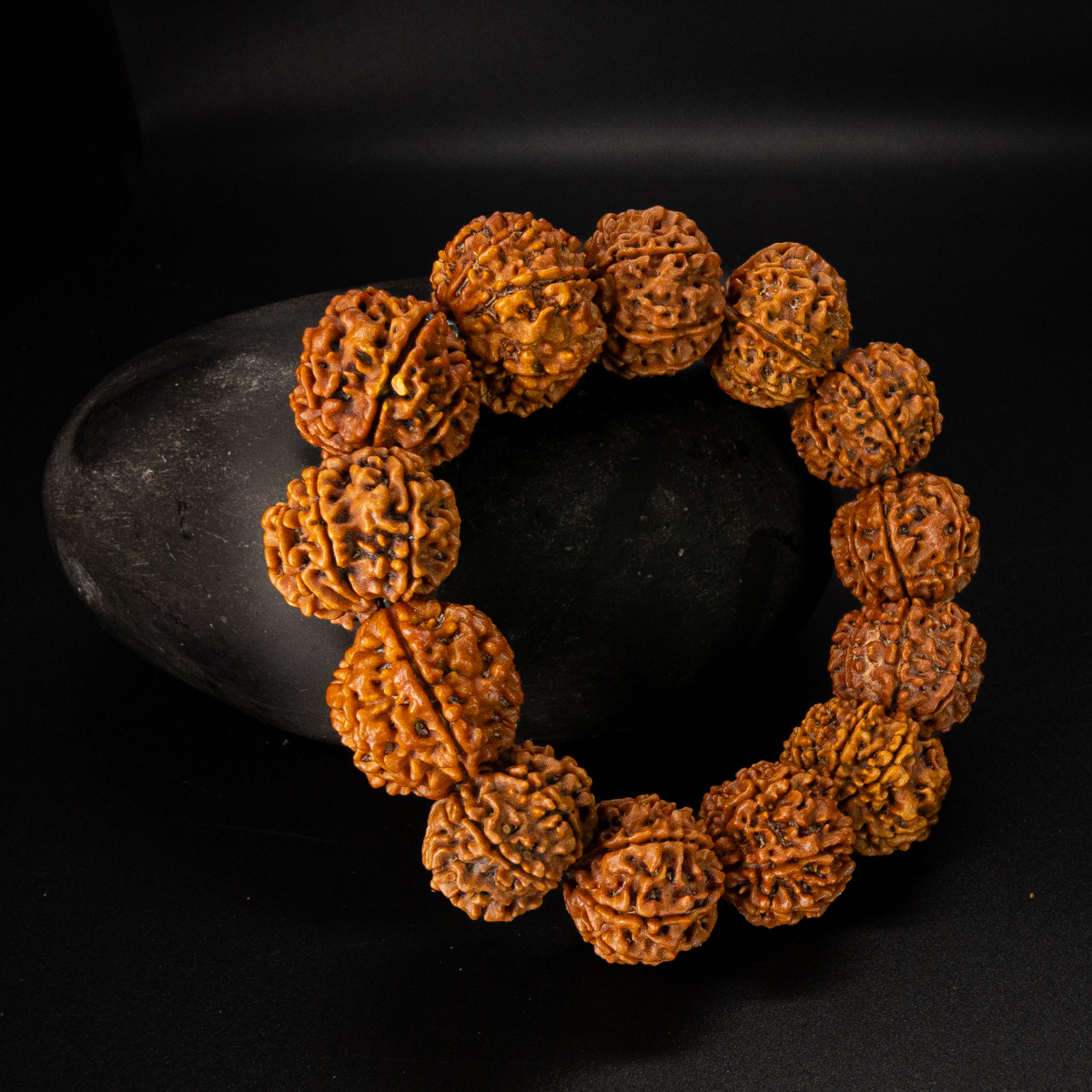 8 Mukhi Rudraksha Bracelet