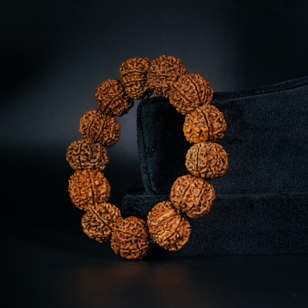 8 Mukhi Rudraksha Bracelet